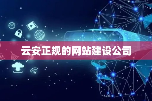 云安正规的网站建设公司