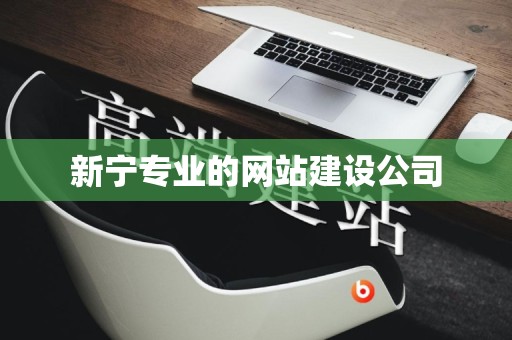 新宁专业的网站建设公司