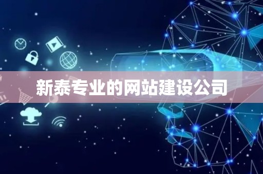 新泰专业的网站建设公司