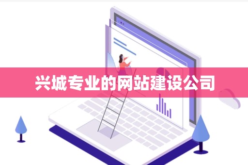 兴城专业的网站建设公司