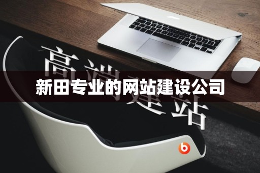 新田专业的网站建设公司