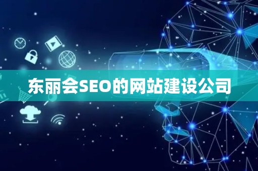 东丽会SEO的网站建设公司