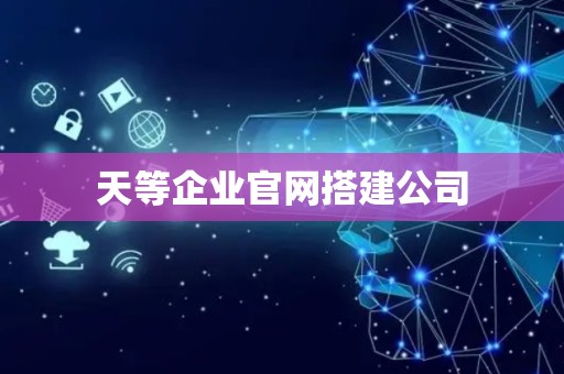 天等企业官网搭建公司