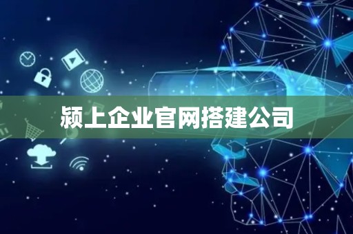 颍上企业官网搭建公司