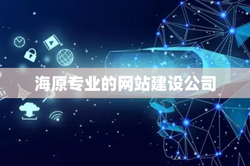海原专业的网站建设公司