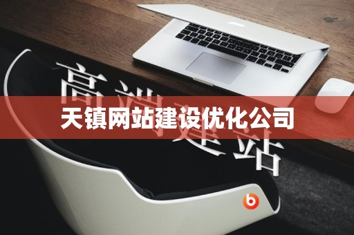 天镇网站建设优化公司
