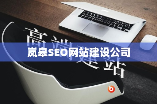 岚皋SEO网站建设公司