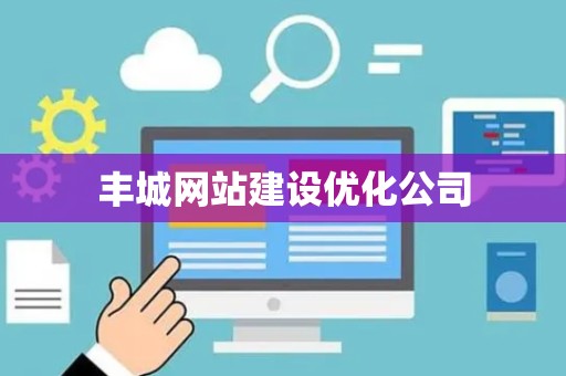 丰城网站建设优化公司