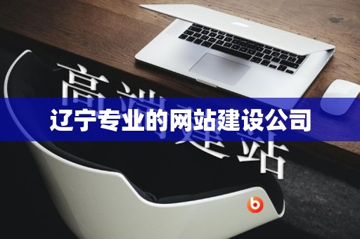辽宁专业的网站建设公司