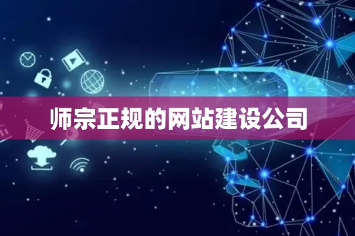 师宗正规的网站建设公司