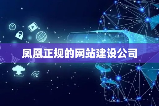 凤凰正规的网站建设公司