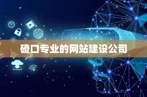 磴口专业的网站建设公司