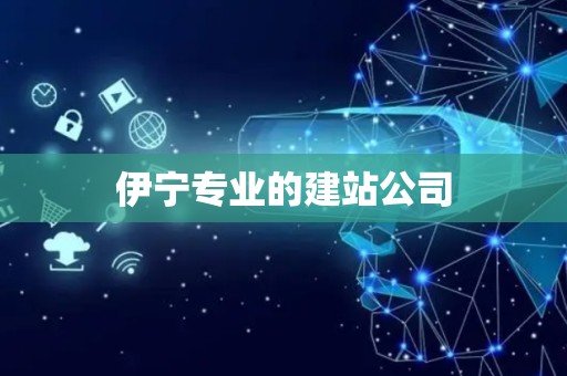 伊宁专业的建站公司