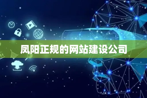 凤阳正规的网站建设公司