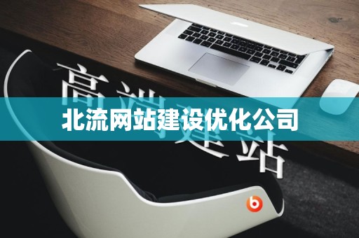 北流网站建设优化公司