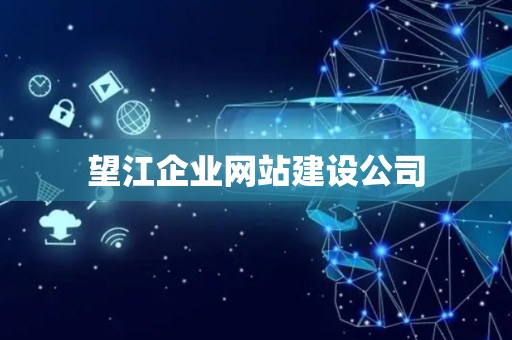 望江企业网站建设公司