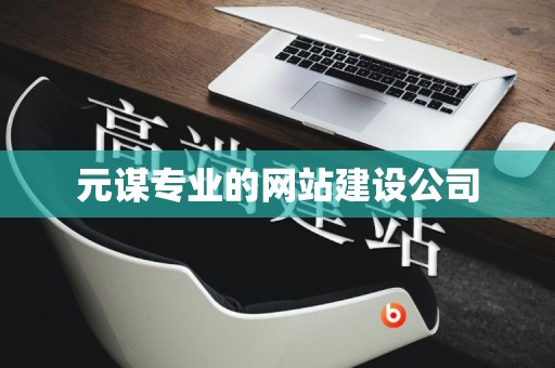 元谋专业的网站建设公司