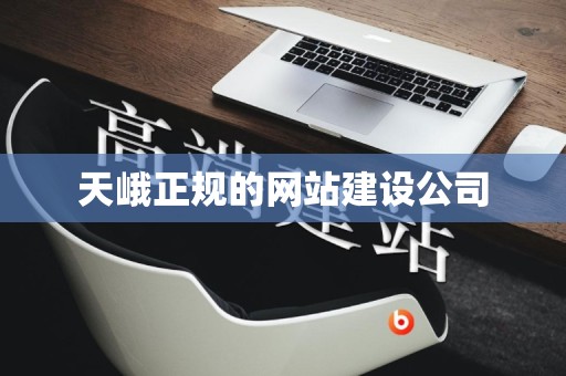 天峨正规的网站建设公司