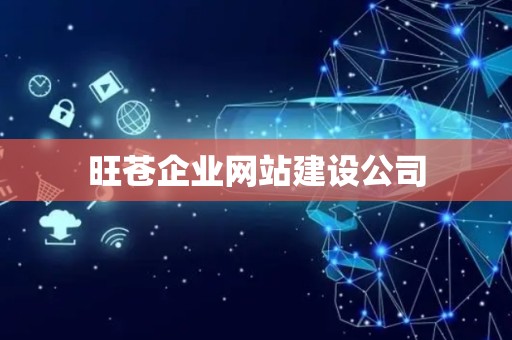 旺苍企业网站建设公司