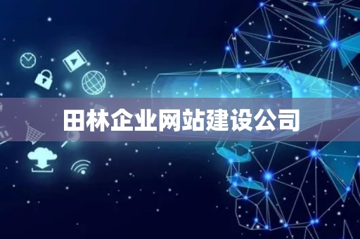 田林企业网站建设公司