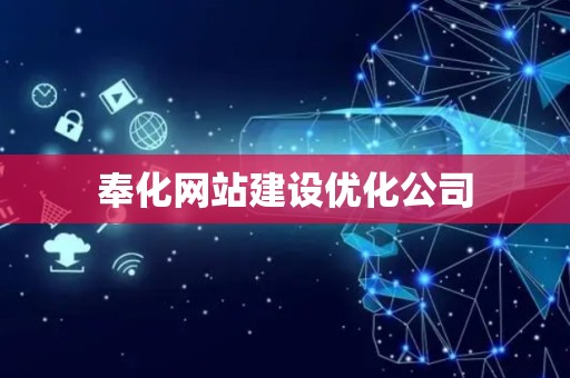 奉化网站建设优化公司