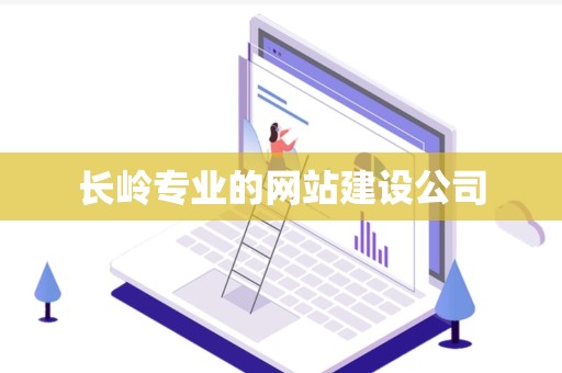 长岭专业的网站建设公司