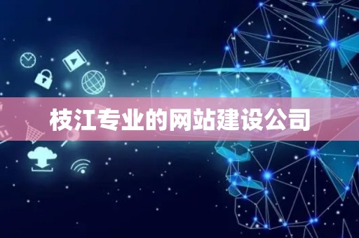 枝江专业的网站建设公司