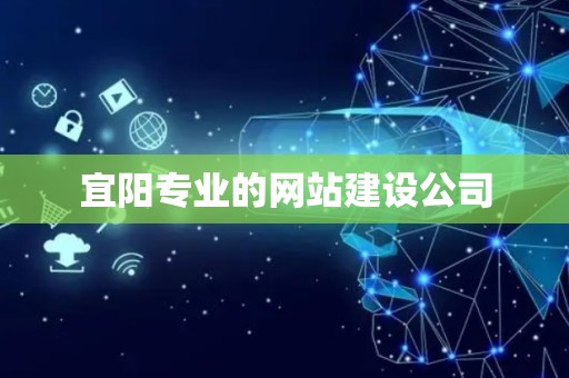 宜阳专业的网站建设公司