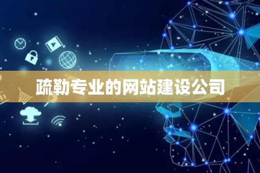 疏勒专业的网站建设公司