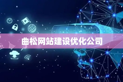 曲松网站建设优化公司
