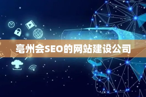 亳州会SEO的网站建设公司