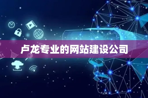 卢龙专业的网站建设公司