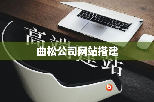 曲松公司网站搭建