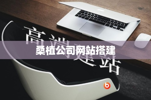 桑植公司网站搭建